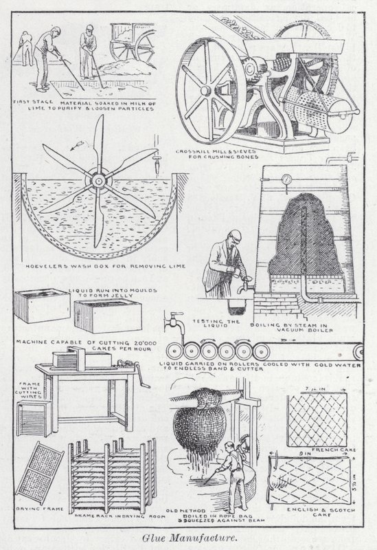 Limfremstilling (litho) af English School