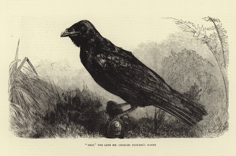 Grip, den afdøde Charles Dickens Raven af English School