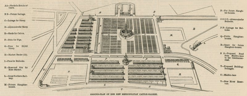 Grundplan for det nye Metropolitan Kvægmarked, Copenhagen Fields af English School