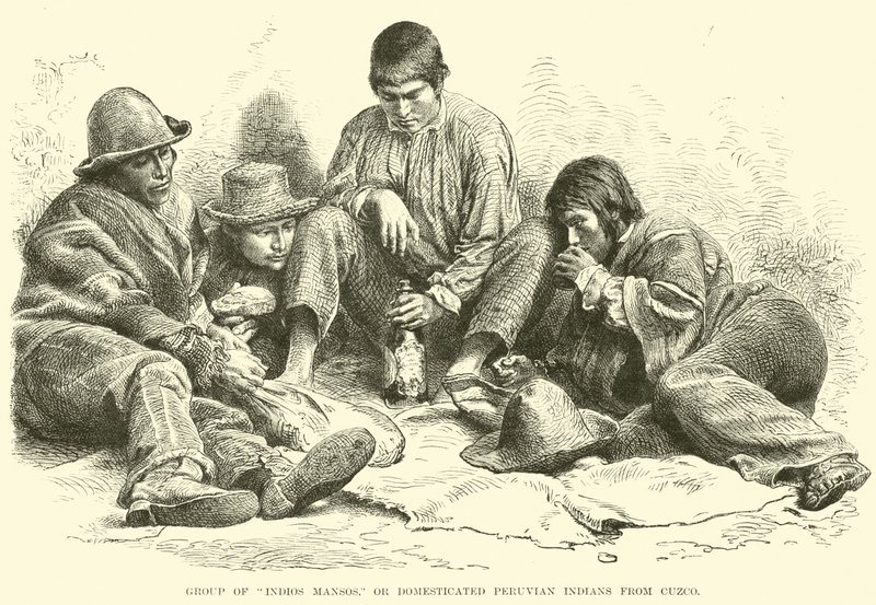 Gruppe af Indios Mansos, eller domesticerede peruvianske indianere fra Cuzco af English School