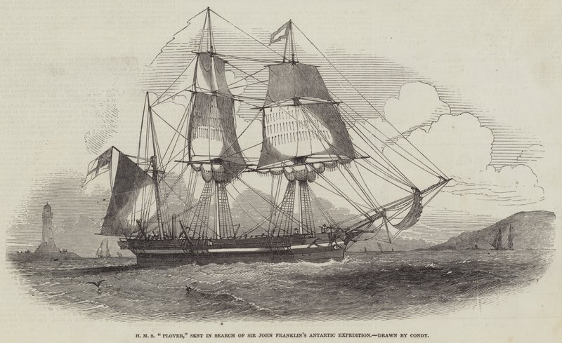 HMS "Plover," sendt på jagt efter Sir John Franklins arktiske ekspedition (gravering) af English School