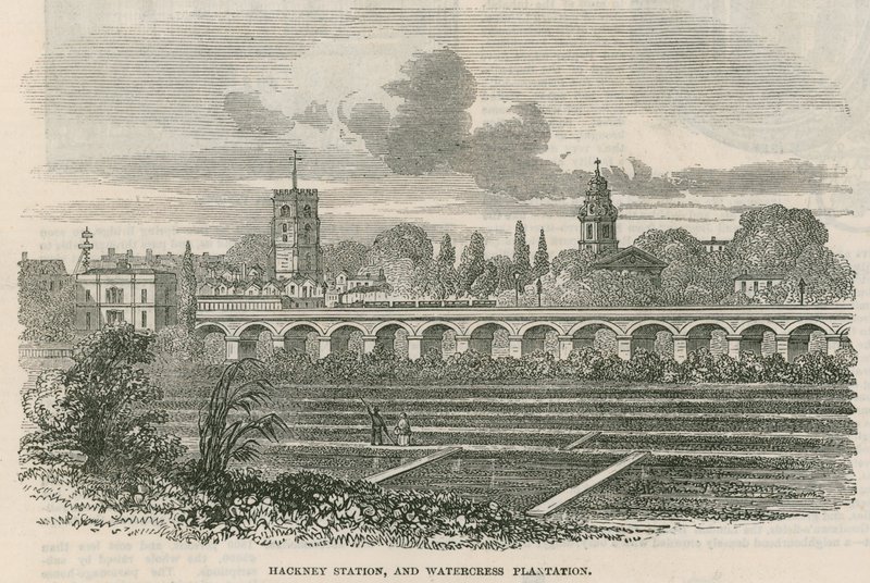Hackney Station og Watercress Plantation, London af English School
