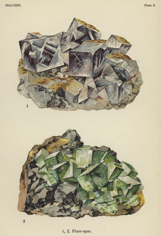 Haloider, flusspat (farve litho) af English School