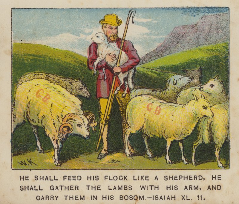 Han skal vogte sin hjord som en hyrde, han skal samle lammene med sin arm og bære dem (farve litho) af English School