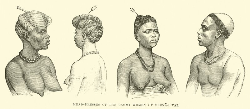 Head-dresses of the Cammi women of Fernao Vaz  af English School