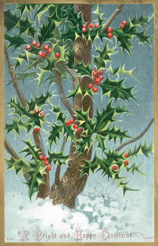 Holly Tree, julekort af English School