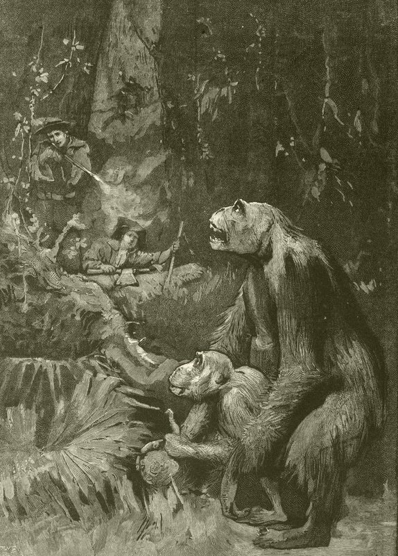 Gorillaens hjem (gravering) af English School