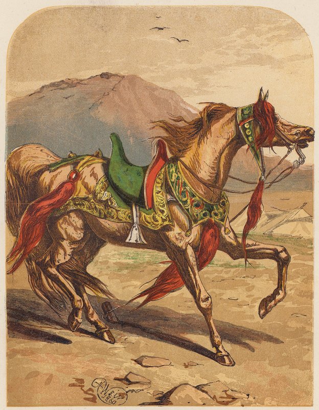 Hest (farvelitografi) af English School