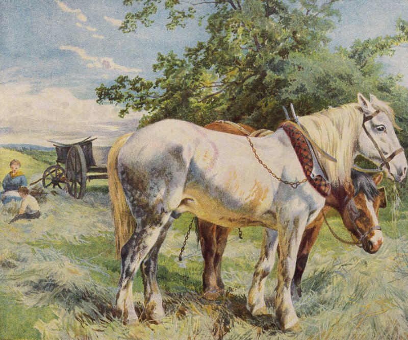Heste tager en pause fra arbejdet på en gård (farve litho) af English School