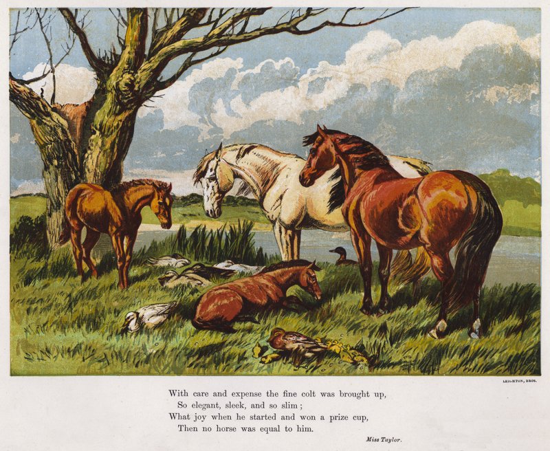Heste med et ungt føl på en flodbred (farvet indgravering) af English School
