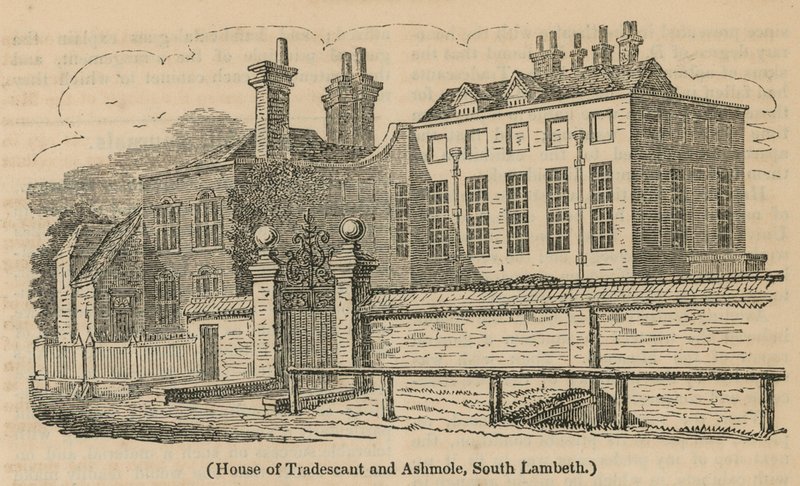 House of Tradescant og Ashmole, South Lambeth af English School