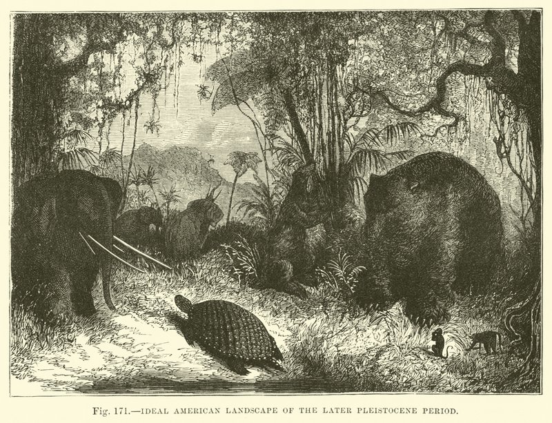 Ideal American Landscape of the Later Pleistocene Period  af English School