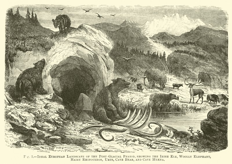 Ideelt europæisk landskab fra den post-glaciale periode, der viser den irske elg, uldne elefant, behårede næsehorn, Urus, hulebjørn og hulehyaena af English School