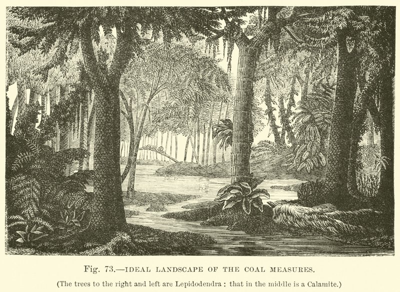 Ideal Landscape of the Coal Measures  af English School