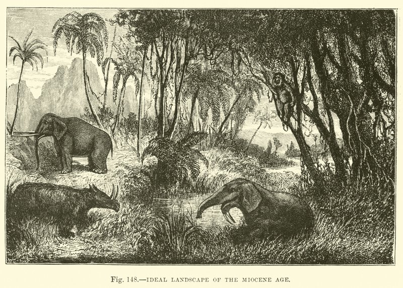 Ideal Landscape of the Miocene Age  af English School