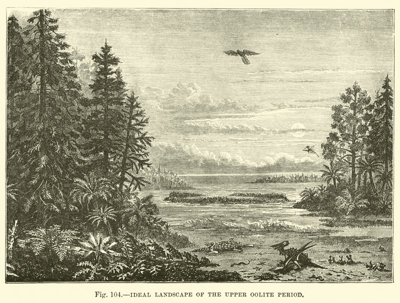 Ideal Landscape of the Upper Oolite Period  af English School