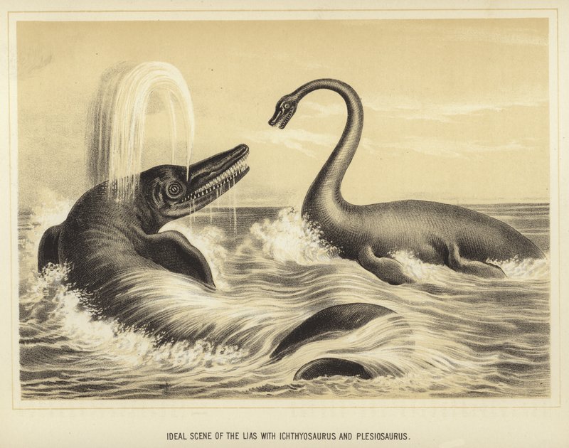 Ideel scene for Lias med Ichthyosaurus og Plesiosaurus af English School