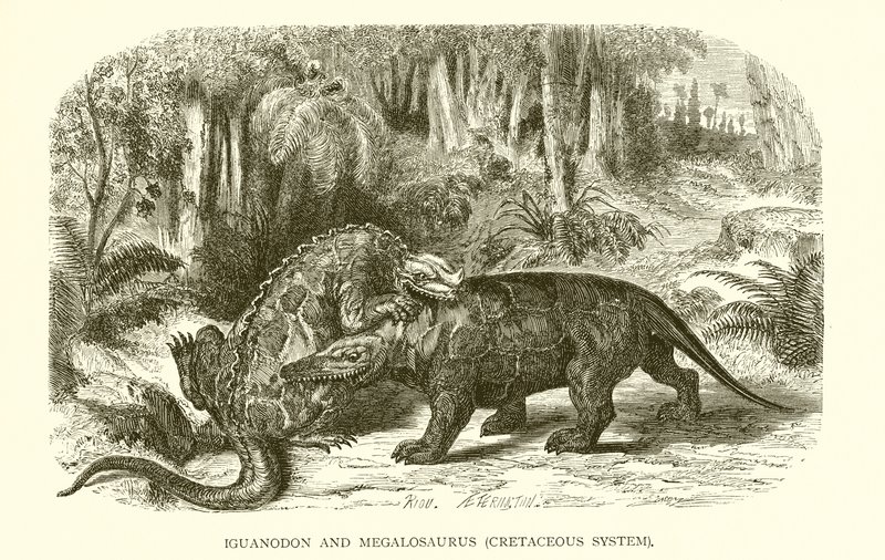 Iguanodon og Megalosaurus, Kridtsystemet af English School