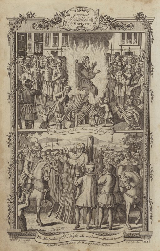Illustration til Fox