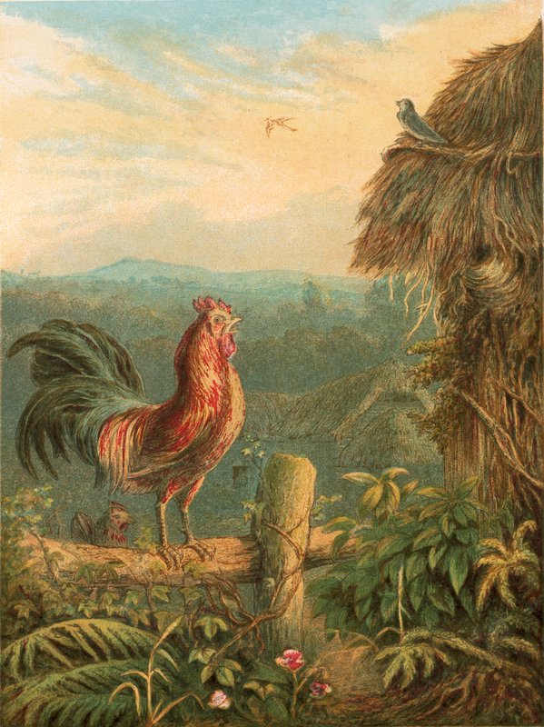 Illustration til Grey