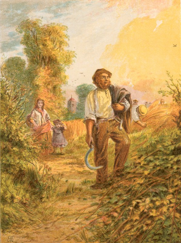 Illustration til Gray