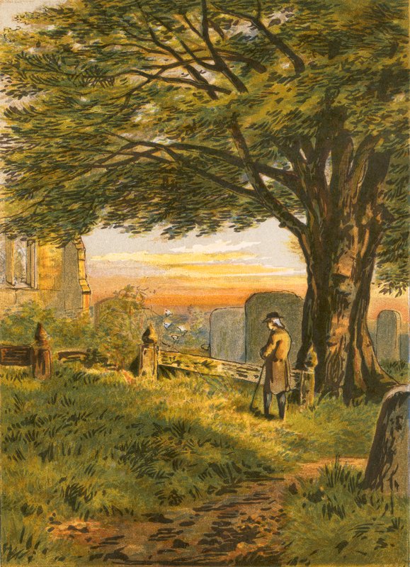 Illustration til Gray