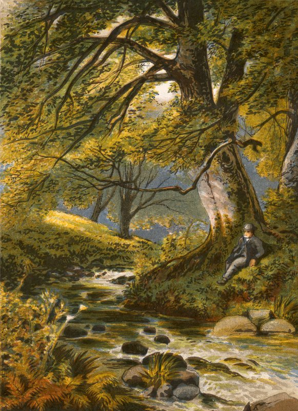 Illustration til Gray