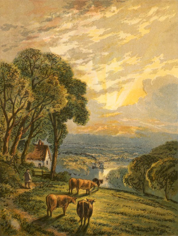 Illustration til Gray