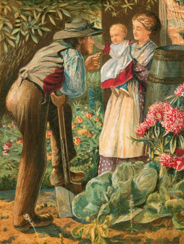 Illustration til Gray
