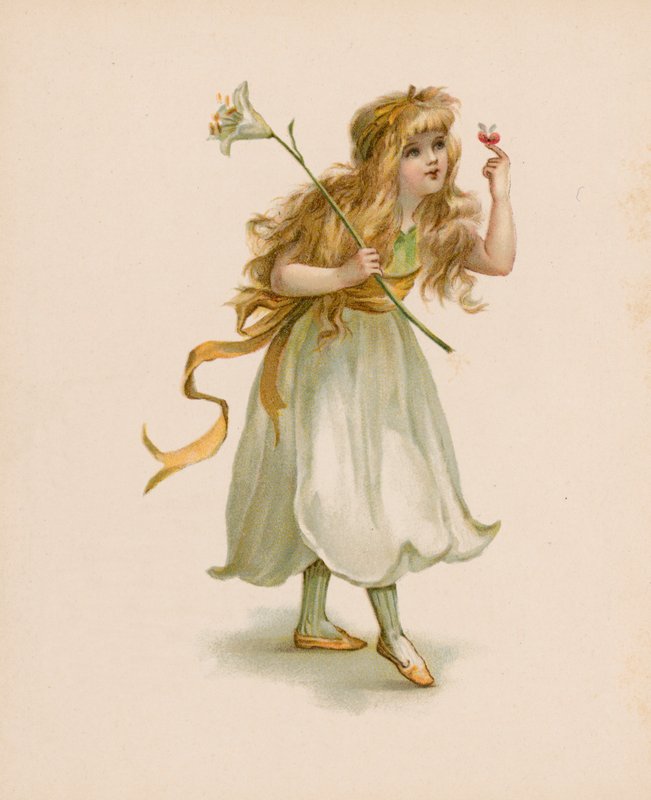 Illustration til The Language Of Flowers (chromolitho) af English School