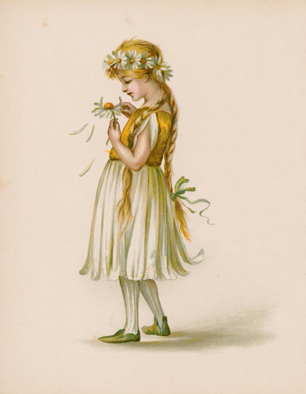 Illustration til The Language Of Flowers af English School