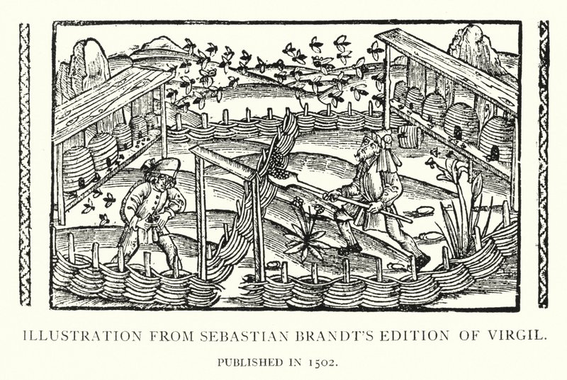 Illustration fra Sebastian Brandts udgave af Virgil, udgivet i 1502 (litho) af English School