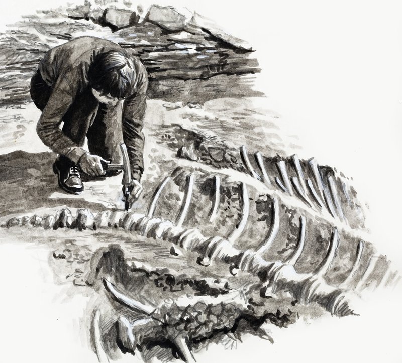 In the Days of the Dinosaurs: Battle of the Giants af English School