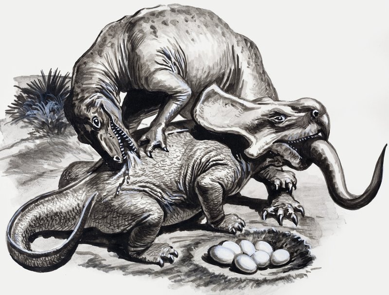 In the Days of the Dinosaurs: Discovery in the Desert af English School