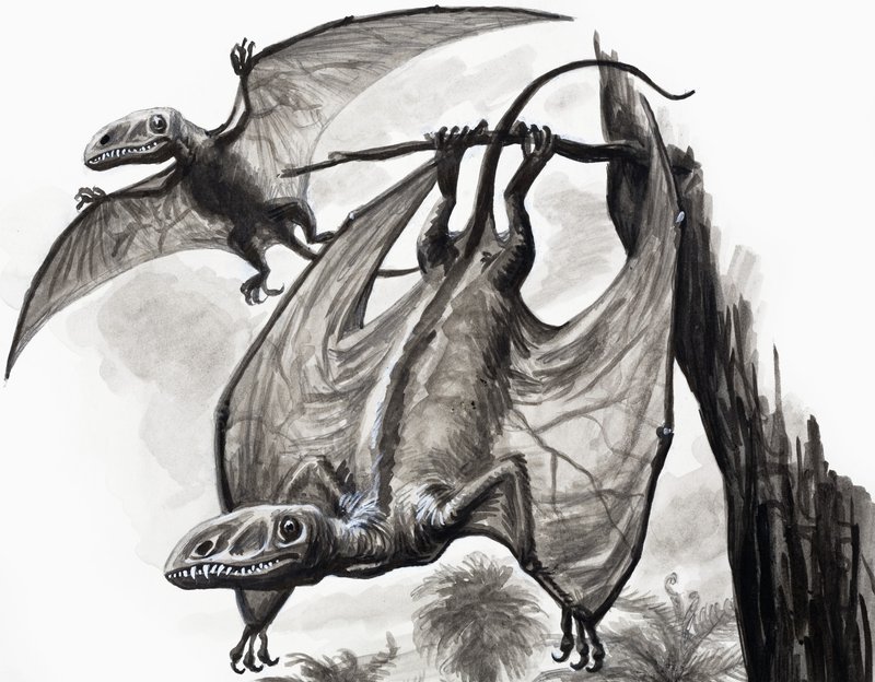 In the Days of the Dinosaurs: Hunters From A Height af English School