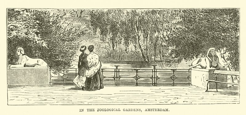 I Zoologisk Have, Amsterdam af English School