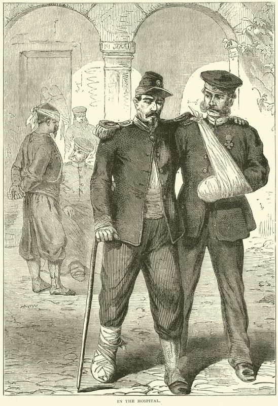 På hospitalet, november 1870 af English School