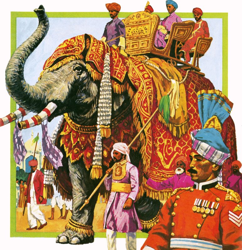 Indisk elefant af English School