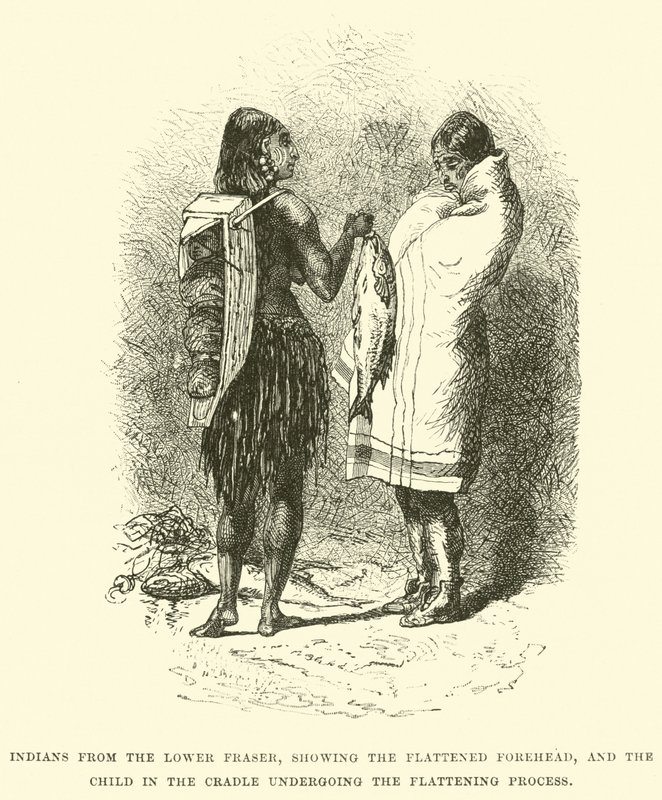 Indianere fra Lower Fraser, der viser den fladtrykte pande, og barnet i vuggen, der gennemgår fladningsprocessen af English School