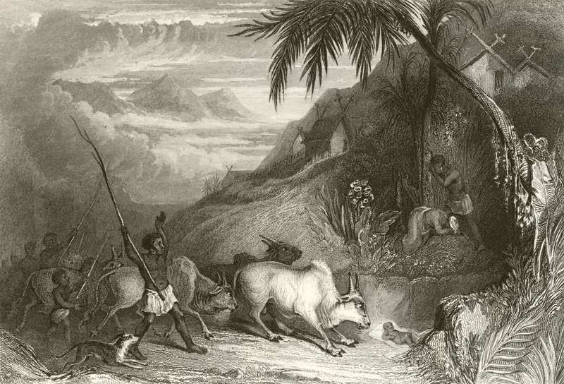 Barnemord på Madagaskar af English School