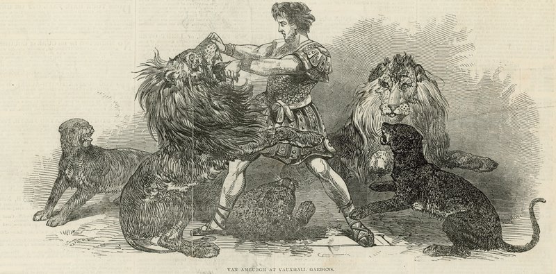 Isaac van Amburgh i Vauxhall Gardens af English School