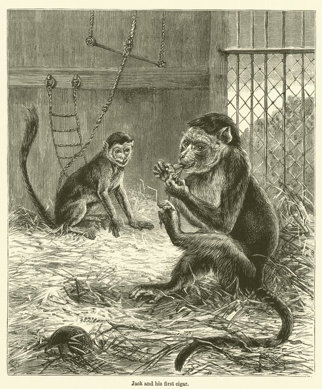 Jack og hans første cigar (gravering) af English School