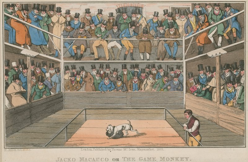 Jacko Macauco eller spil-aben af English School