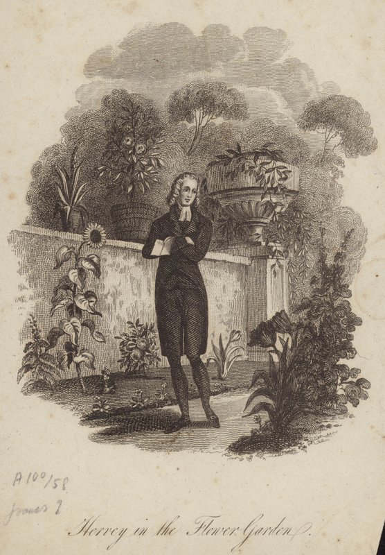 James Hervey i blomsterhaven af English School