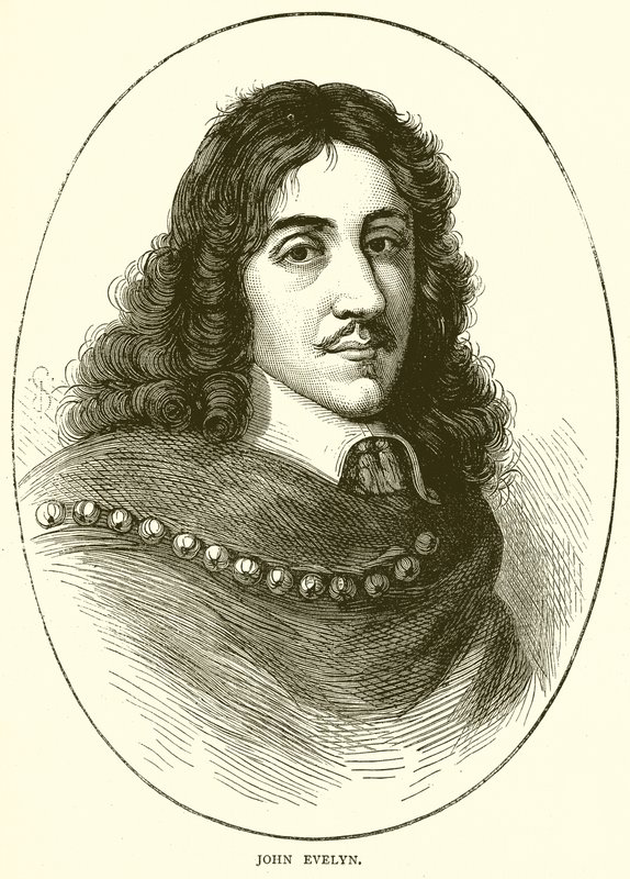 John Evelyn af English School