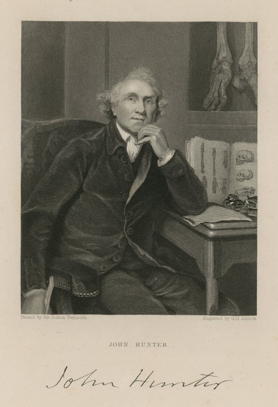 John Hunter af English School