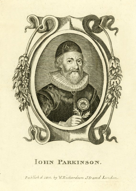 John Parkinson af English School