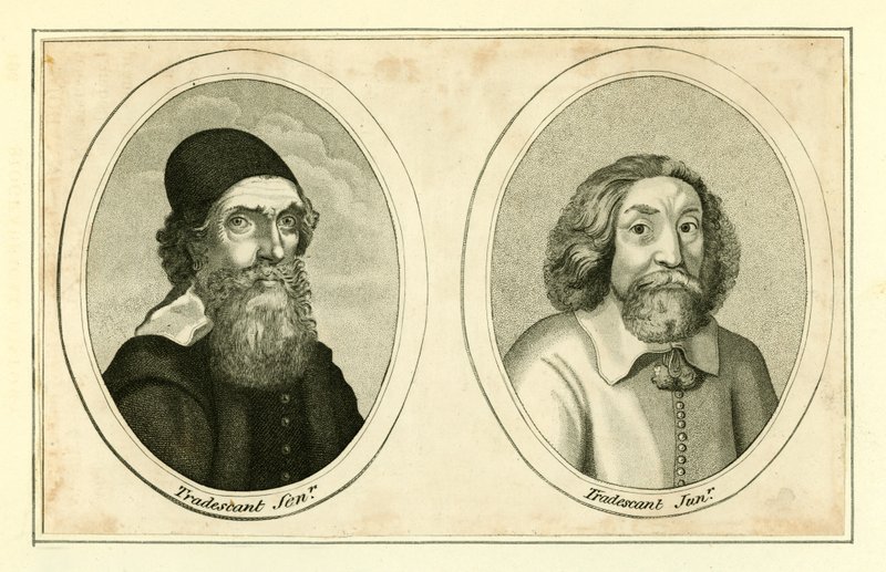 John Tradescant, Senior og Junior af English School