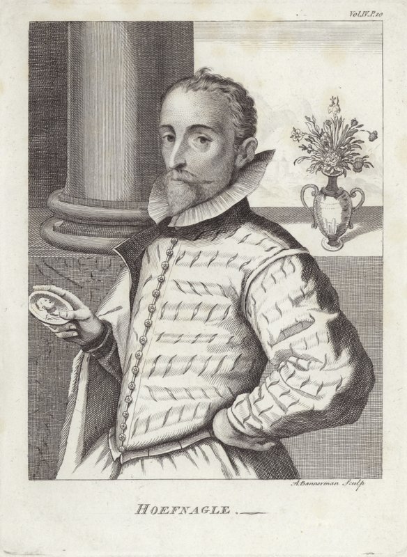Joris Hoefnagel af English School