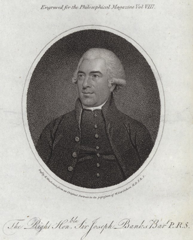 Joseph Banks af English School
